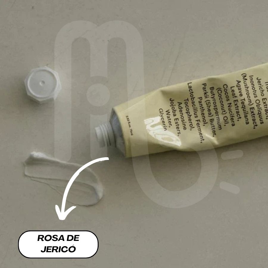 JERICHO_ROSE_CREME_NUTRITION_TUBE (3)